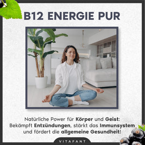 B12 Energie Pur