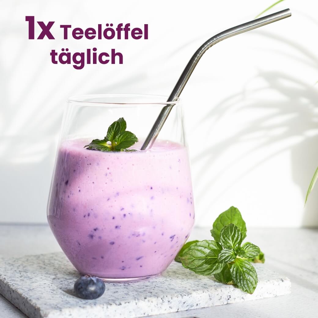 Lila Leben 2.0 (NEU)