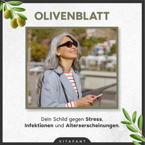Olivenblatt Elixier